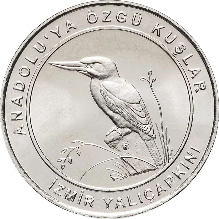 İzmir Yalıçapkını